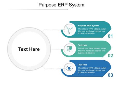 Purpose Erp System Ppt Powerpoint Presentation Diagram Lists Cpb