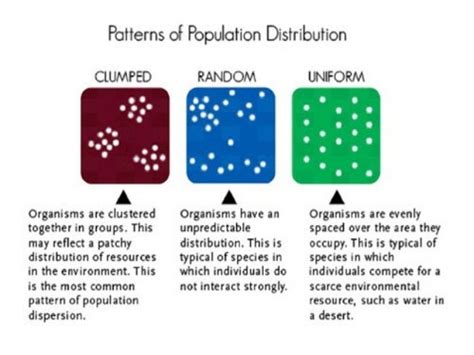 Concepts on Population