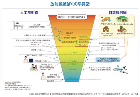 放射線による健康への影響 公益財団法人柏崎原子力広報センター｜アトミュージアム