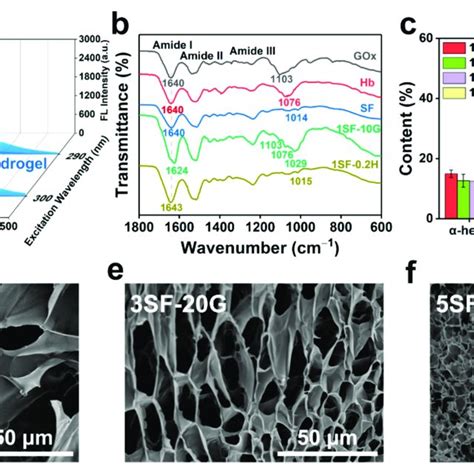 Mechanism Of SF Hydrogel Formation And Characterization Of Hydrogel