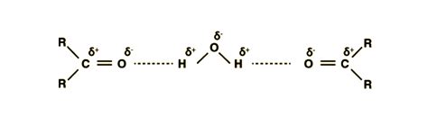 Understanding Aldehydes: Properties, Uses, and FAQs