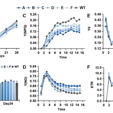 Growth And Photosynthetic Parameters Of Different Mutants And The Wt