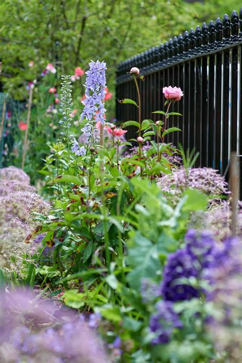 Garden Fencing Installation London Acacia Gardens