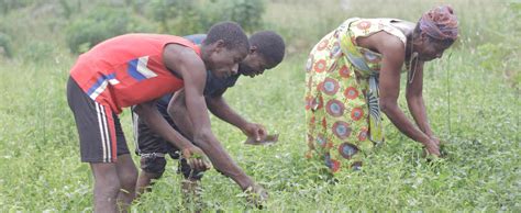 Au Togo une pompe solaire financée par la Banque africaine de