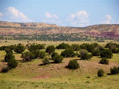 Catron County New Mexico Ranches for Sale : RANCHFLIP