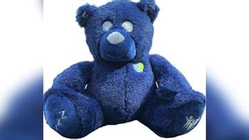 This teddy bear helps nonverbal, autistic kids talk to their parents | 10tv.com