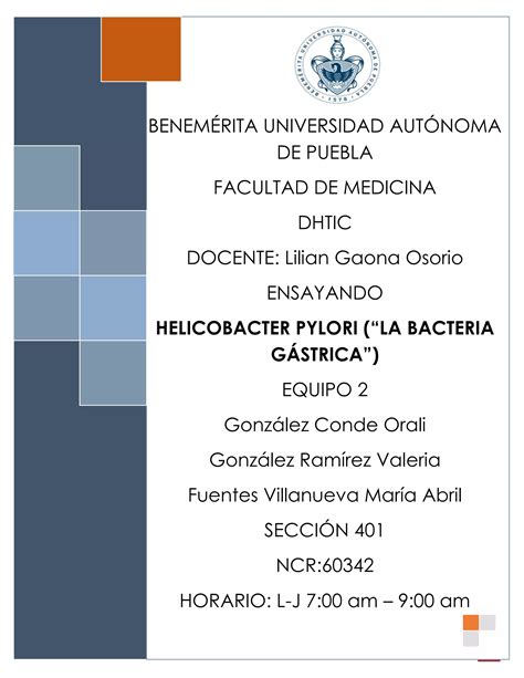 Ensayo Helicobacter Pylori Y C Ncer G Strico Pdf