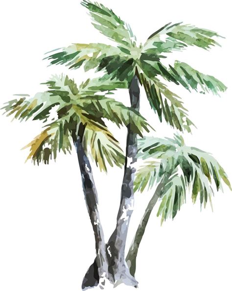 ilustración acuarela palmera 4462472 Vector en Vecteezy