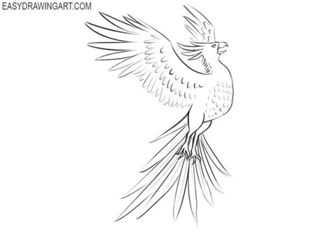 How to Draw a Phoenix - Easy Drawing Art