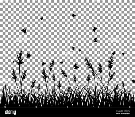 Vector Grass Silhouettes Background All Objects Are Separated Stock Vector Image And Art Alamy