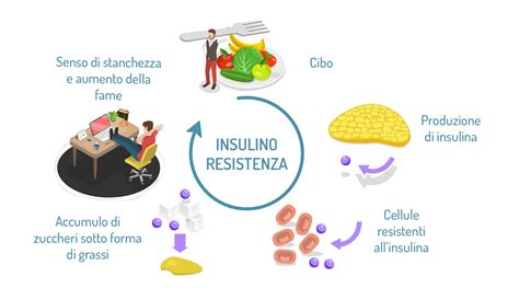 Insulino Resistenza Cause Diagnosi Rimedi Multimed Network Sanitario