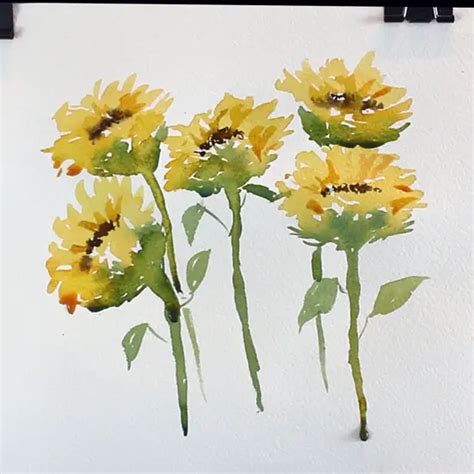 How To Paint Watercolor Sunflowers In 6 Easy Steps Solving Watercolour