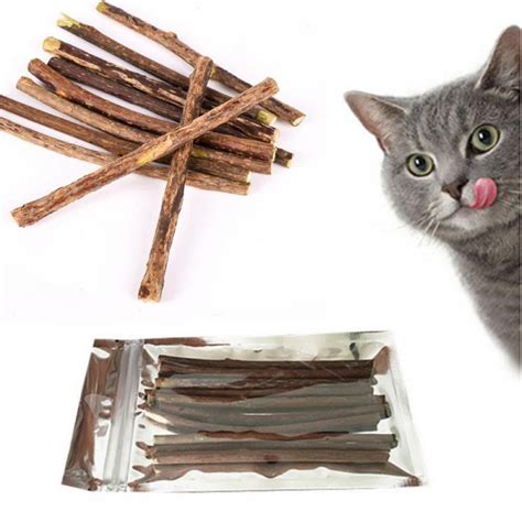 Pets Cat Nip Sticks Matatabi Silvervine Dental Catnip Chew Teeth