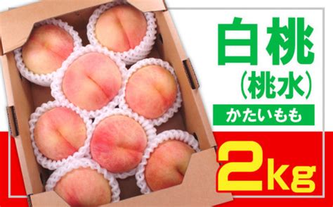 フルーツ王国山形 白桃桃水 秀品 2kg かたい桃 【令和6年産先行予約】fs23 831 フルーツ くだもの 果物 山形 山形県