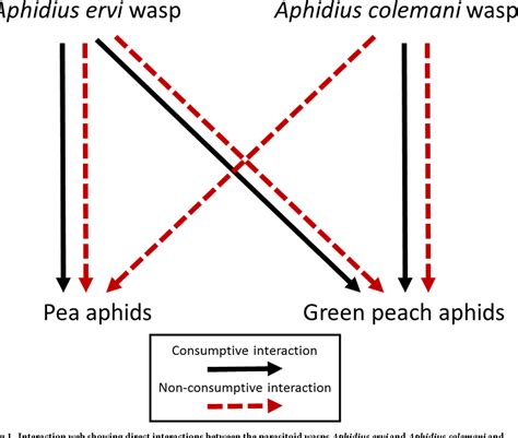 Figure 1 From Multi Species Suppression Of Herbivores Through