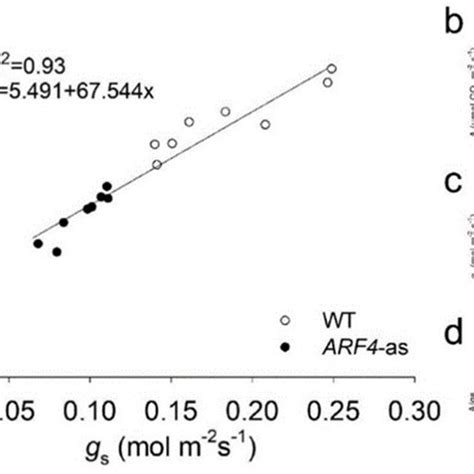 Photosynthetic Assimilation Rate And Stomatal Conductance In Micro Tom