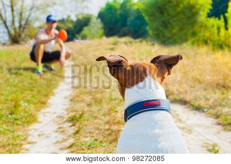 Dog Owner Playing Image & Photo (Free Trial) | Bigstock