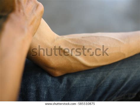 Arms Full Tendons Tendons On Forearm Stock Photo 585510875 | Shutterstock