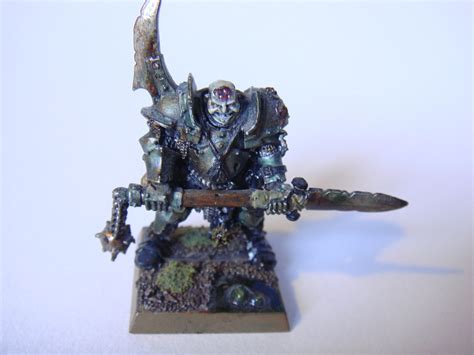 Nurgle Warhammer Fantasy Nurgle Champion Gallery Dakkadakka