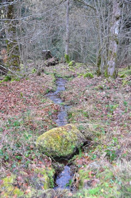 H Fen An Der Enz Kleiner Bach Im Waldgebiet Eyachhalde Mgrs