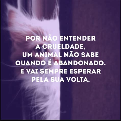 Frases De Abandono Para Refletir Sobre Suas A Es