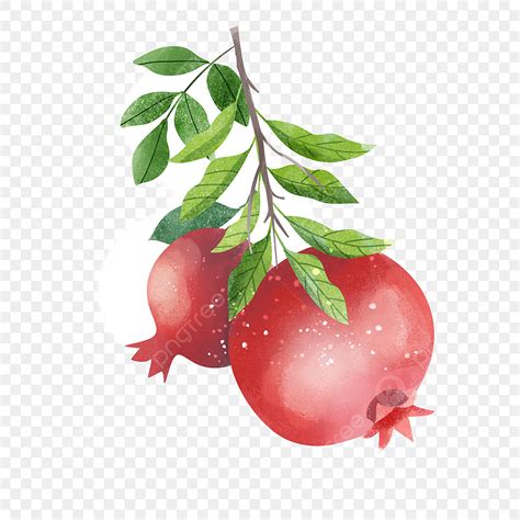 Pomegranate Fruit Clipart Transparent PNG Hd Pomegranate Fruit