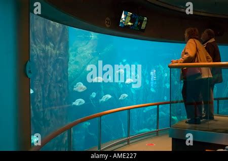 Inside the Biodome, Montreal, Quebec, Canada Stock Photo - Alamy