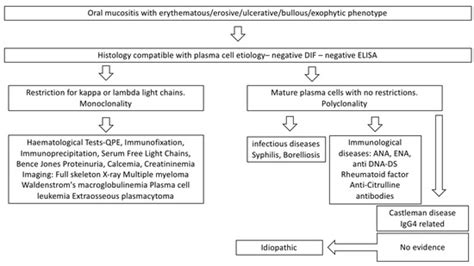 Jcm Free Full Text Pitfalls And Challenges In Oral Plasma Cell