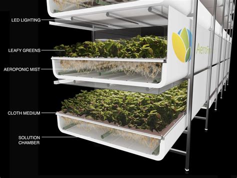 AeroFarms Newark Vertical Farming Opening Business Insider