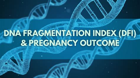 A Guide To Dna Fragmentation Index Dfi Pregnancy Outcome