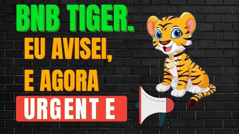 Saiu Agora A Pouco Bnb Tiger Inu Voc J Foi Avisado Vai Ser