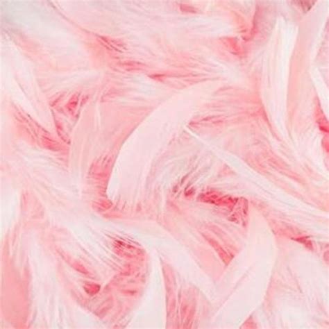 Pink Flamingo Feather Wallpaper160"W x 100"H inches / Non-woven Paper ...