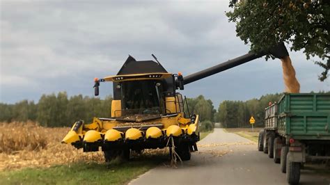 Oporowe koszenie qq na ziarno w GR Luśnia new holland cx5 80 w akcji