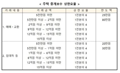 최대 반값 부동산 중개수수료 19일부터 인하 개시공인중개업계 반발 여전 한국금융신문