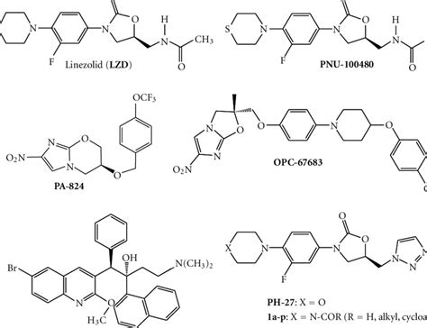 Chemical Structure Of Oxazolidinone Antibacterial Agents And Novel