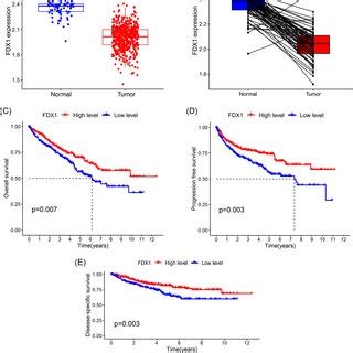 Expression Of Fdx In Ccrcc Tissues And Its Relationship With Survival