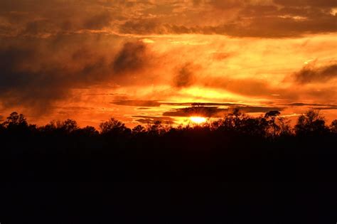 South Carolina Sunset | Sunset photography, Favorite places, Sunset