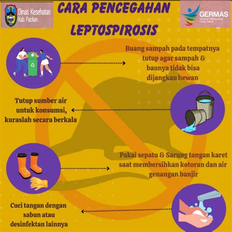 KENALI GEJALA LEPTOSPIROSIS DAN AMBIL LANGKAH PENGOBATAN YANG TEPAT