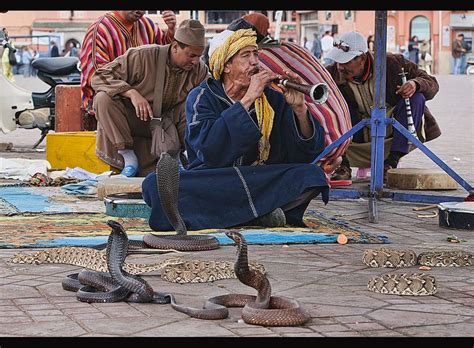 Snake Charmer At The Djemma El Fna In Marrakech Morocco Snake