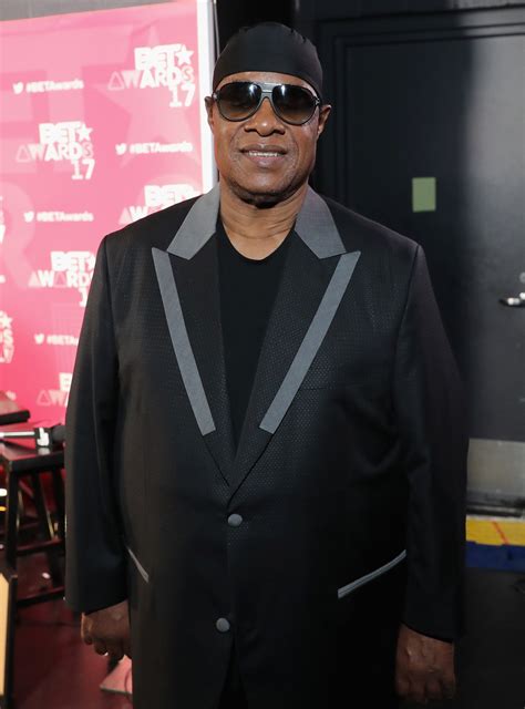 Stevie Wonder Musician Singer Songwriter Record Producer Activist