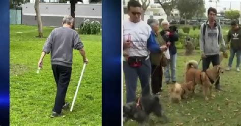 Denuncian Que Anciano Ataca Con Una Vara A Mascotas Y A Sus Dueños En Parque De Miraflores Infobae