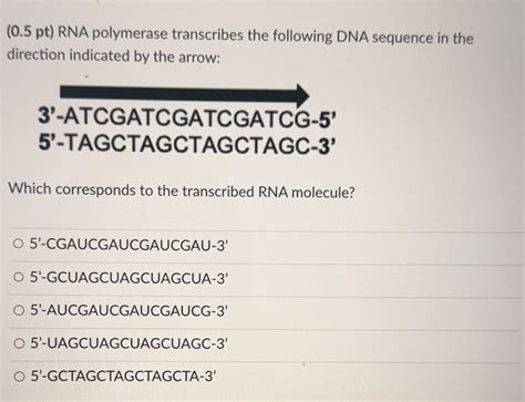 Solved RNA Polymerase Transcribes The Following DNA Sequence Chegg