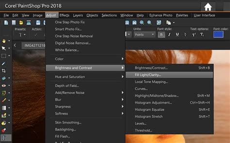 How To Correct Photos In PaintShop Pro