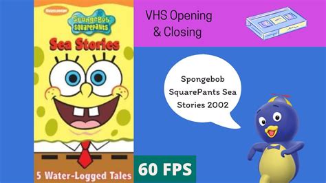 Opening To Spongebob SquarePants Sea Stories 2002 VHS 60FPS YouTube