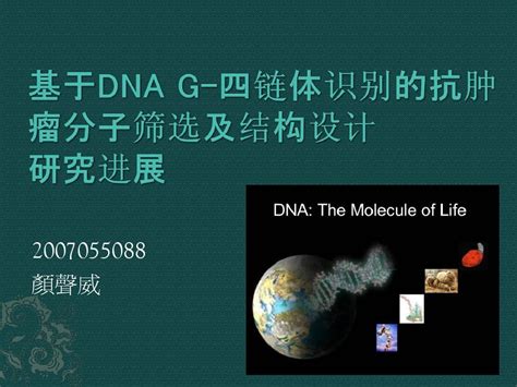 基于dna G 四链体识别的抗肿瘤分子筛选及结构设计研究进展 Word文档在线阅读与下载 无忧文档