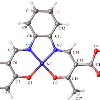 Ortep Plot Of Ni Ii L Complex Thermal Ellipsoids Are Shown At