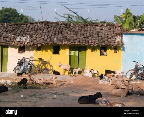 Rural Indian Village House Hi Res Stock Photography And Images Alamy