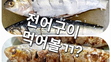 전어구이 집나간 며느리도 들어온다는 가을전어 전어구이 먹어볼까 YouTube