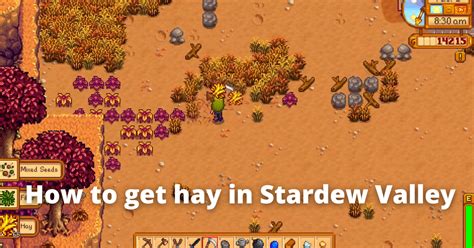 How To Get Hay In Stardew Valley Nerd Lodge