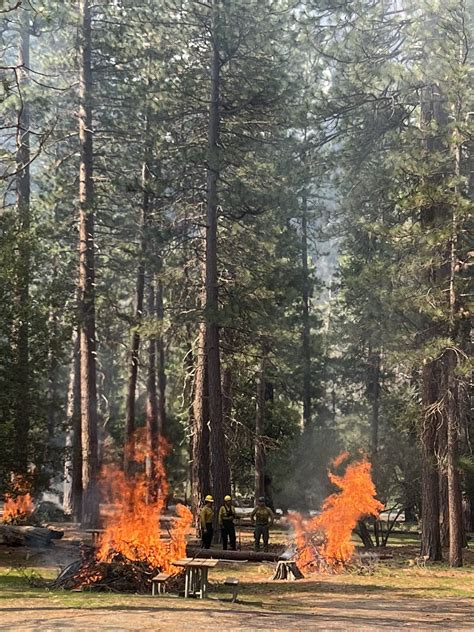 Yosemite Fire And Aviation Management On Twitter Piles Were